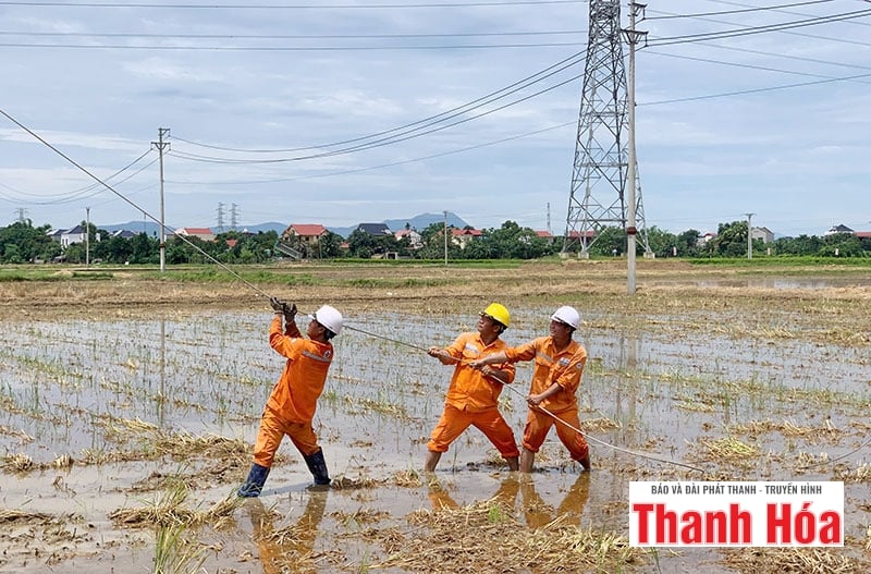 Đã khắc phục hoàn toàn sự cố gãy 19 cột điện do thiên tai