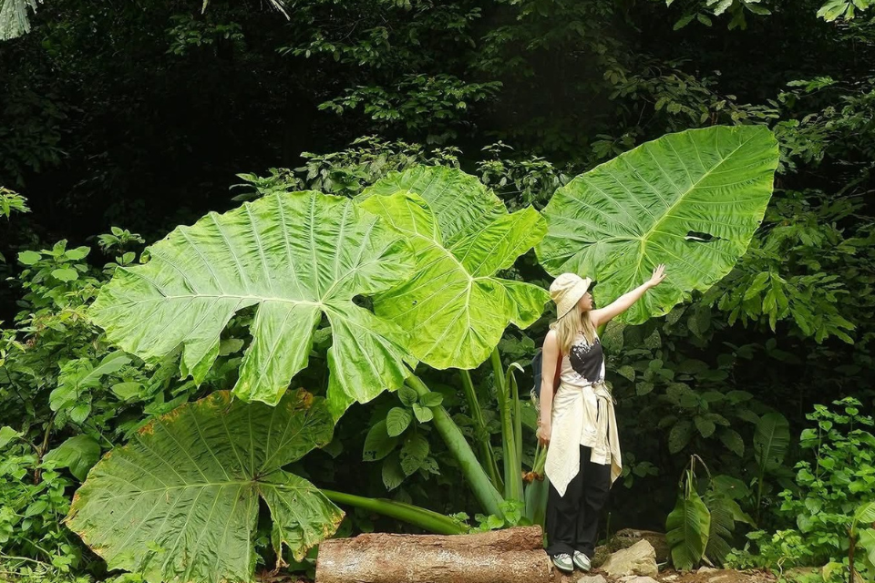 2025年の夏に試してみるニンビン旅行体験の5つの経験
