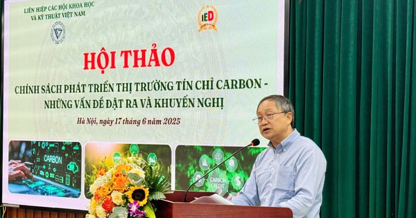 Định hình thị trường tín chỉ carbon: Đòi hỏi thể chế mạnh