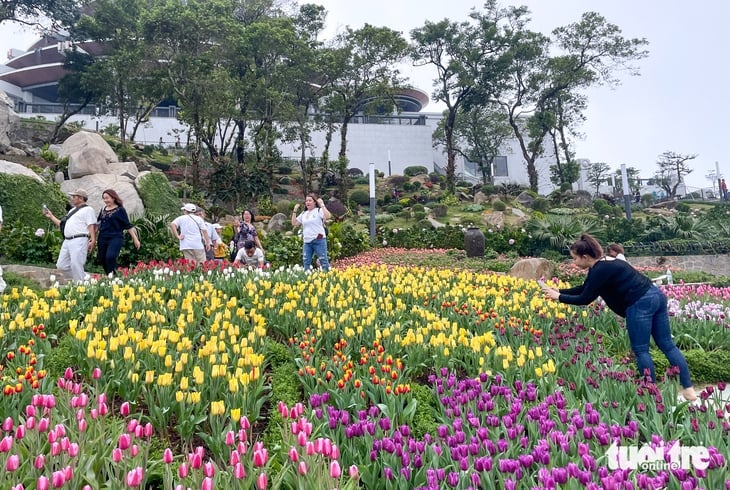 Tây Ninh - Ảnh 1.