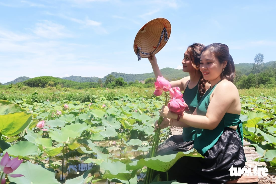 sen Trà Lý - Ảnh 2.