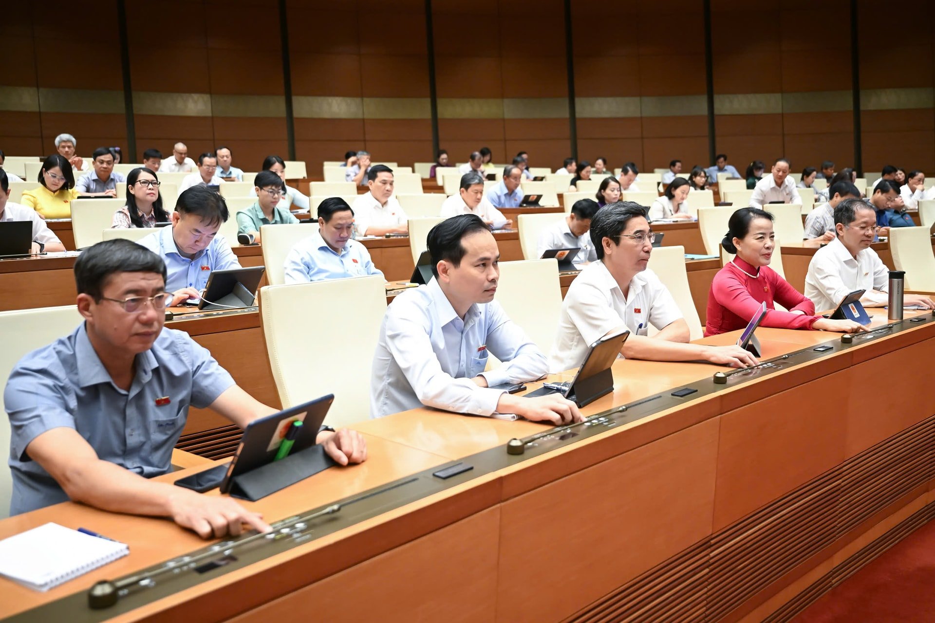 bieu-quyet2.jpg
