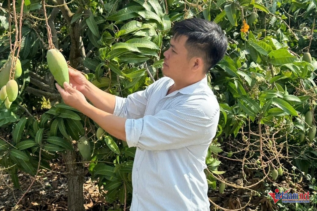 របៀបដែលមេភូមិ Nung សម្រេចចិត្តលុបបំបាត់គ្រួសារក្រីក្រទាំងអស់នៅក្នុងភូមិ Cao Lang