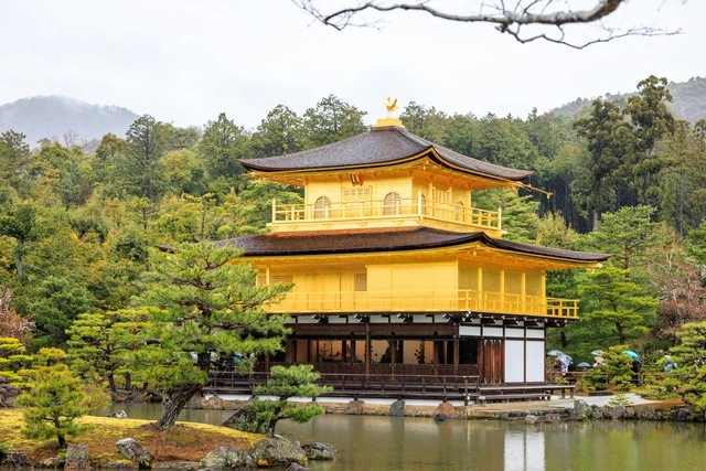chua-kinkakuji.webp