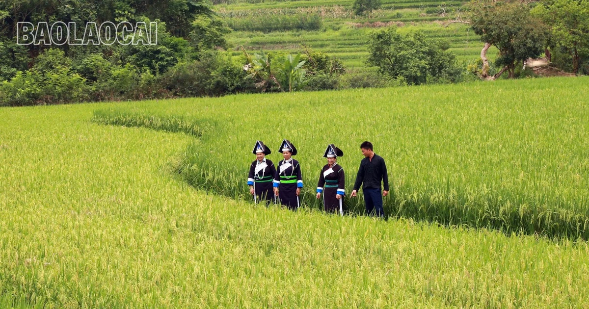 ពណ៌ក្តៅនៅជ្រលងភ្នំ Sinh