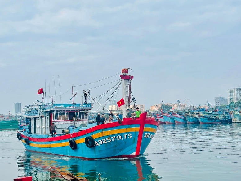 Đà Nẵng siết chặt quản lý 147 tàu cá chưa đủ điều kiện hoạt động- Ảnh 1.