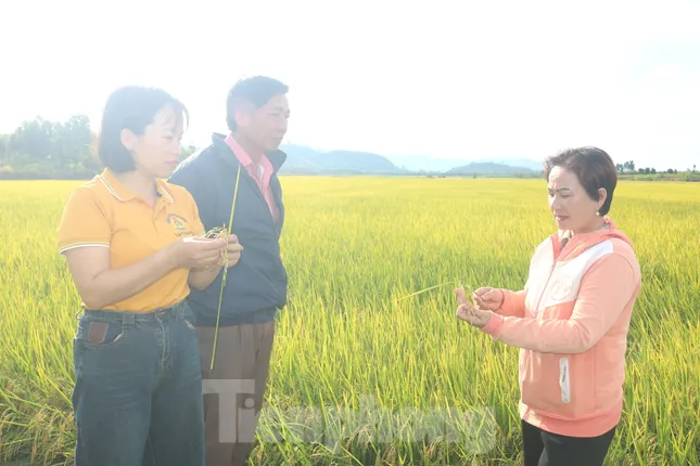 ដើមឈើច្រើនសត្វ ជួយប្រជាជននៅតំបន់ដាច់ស្រយាលអភិវឌ្ឍសេដ្ឋកិច្ច រូបថត ២