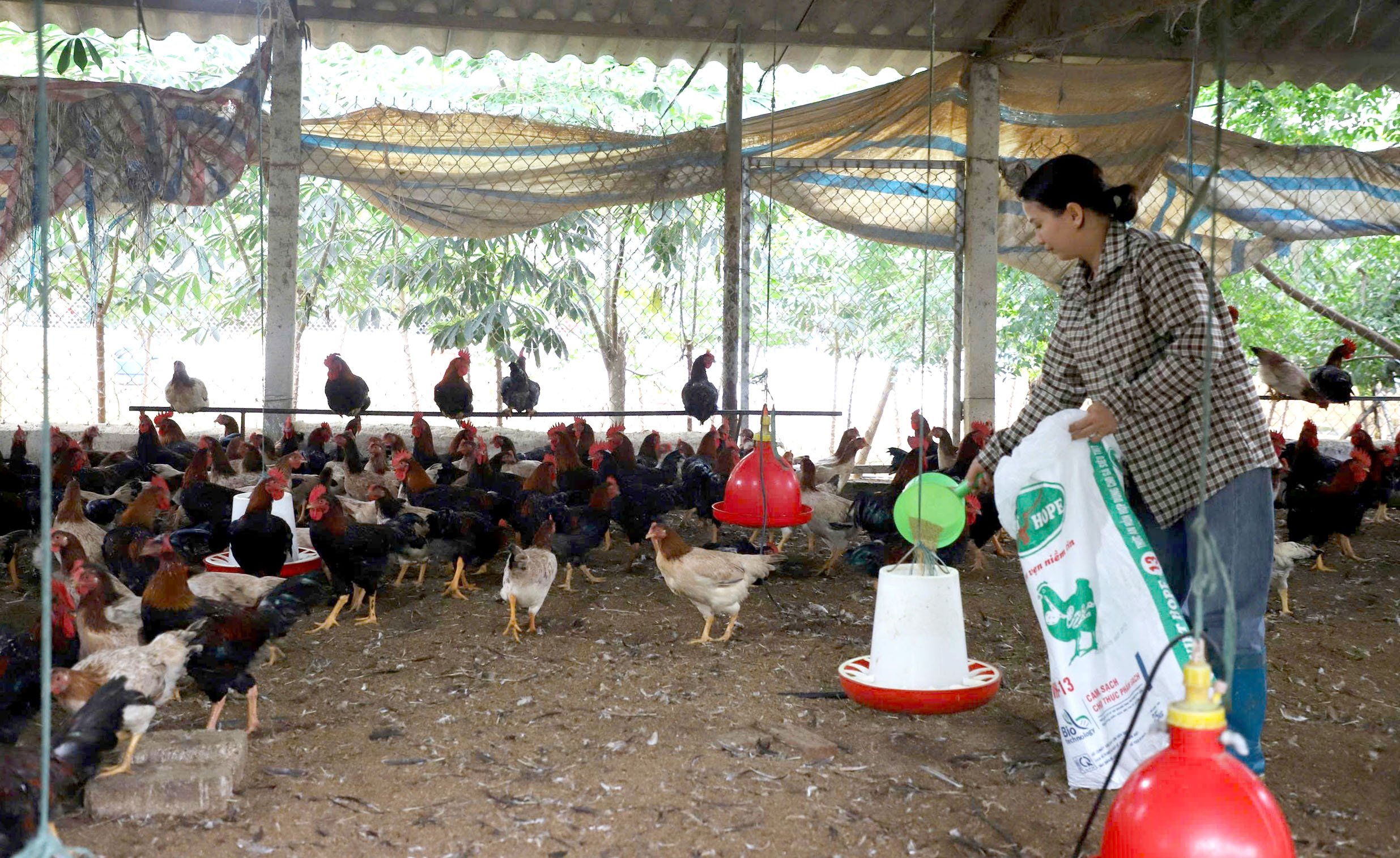 Join hands to build new rural communes