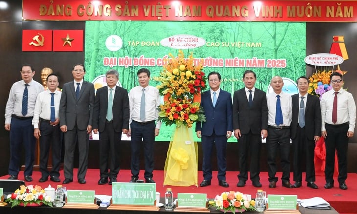 VRG - Ảnh 1.