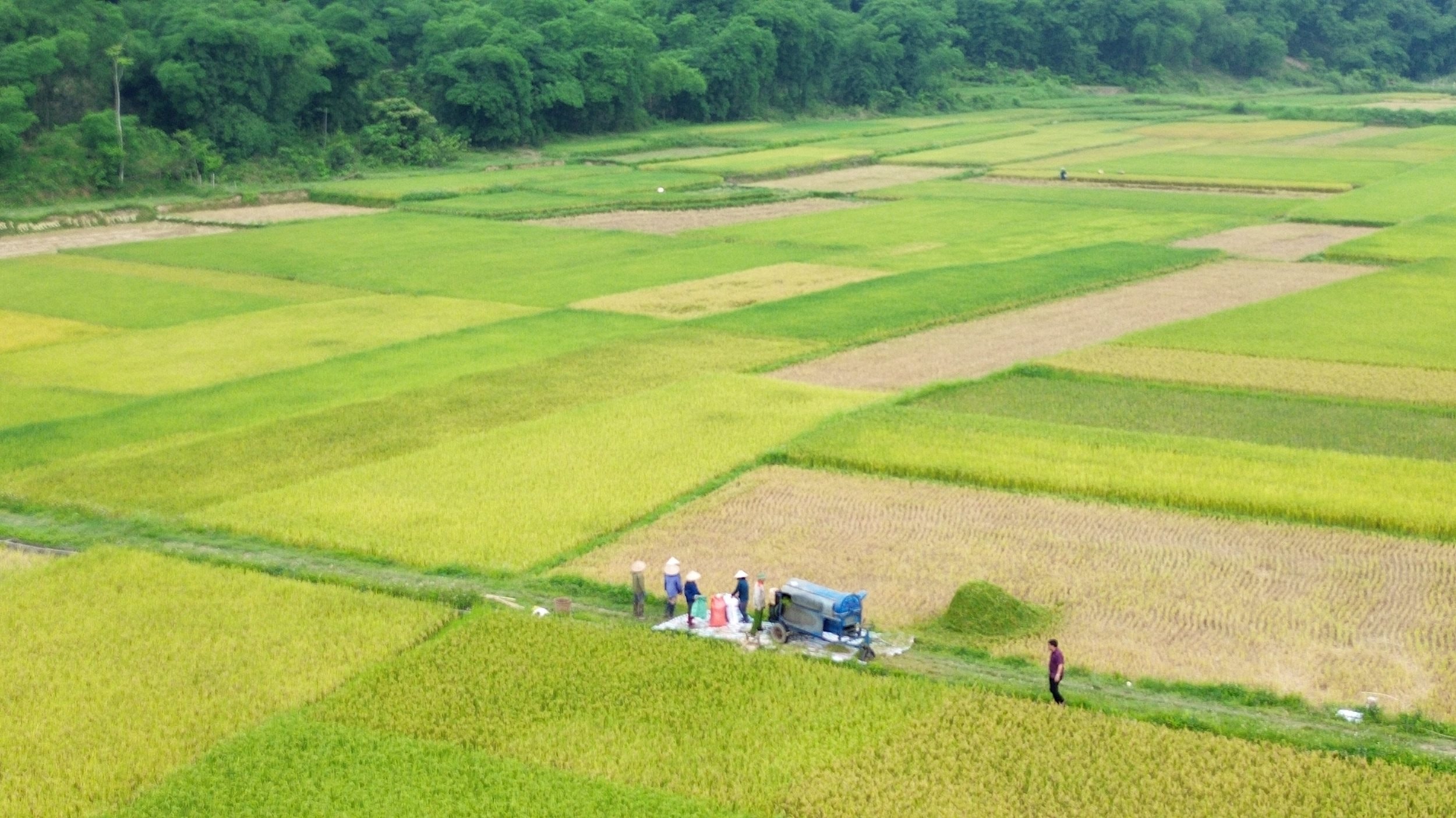 Thời tiết Nghệ An ngày 5/7: Ngày nắng gián đoạn, chiều và đêm có mưa rào