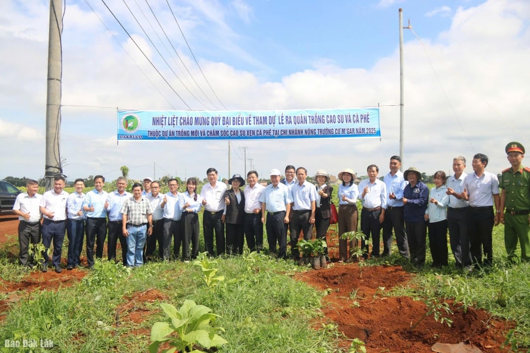  Các đại biểu chụp hình lưu niệm sau buổi lễ ra quân trồng mới cao cao xen cà phê tại Nông trường Cư Mgar.