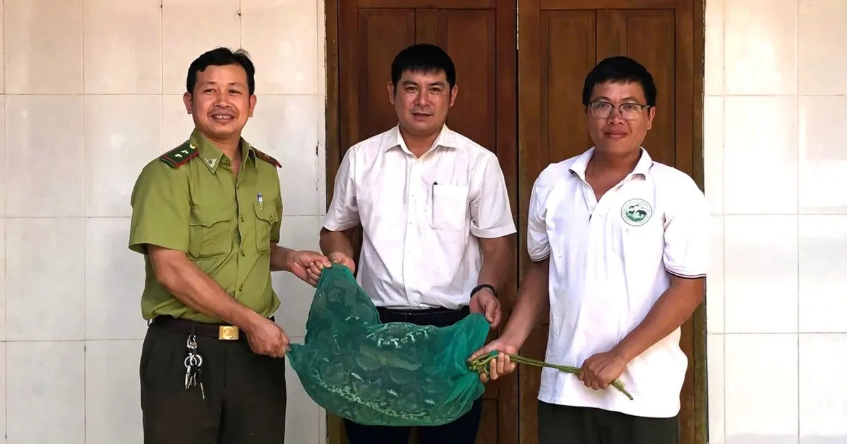 Phát hiện trăn quý hiếm nặng 21kg bò vào nhà dân