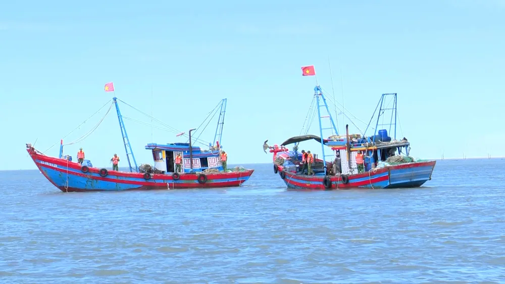 ពិន័យជាប្រាក់ចំនួន ៣៥លានដុង និងដកហូតសិទ្ធិប្រើប្រាស់វិញ្ញាបនបត្រប្រធានទូកនេសាទសម្រាប់ការធ្វើអាជីវកម្មធនធានជលផលនៅតំបន់ឆ្នេរ។