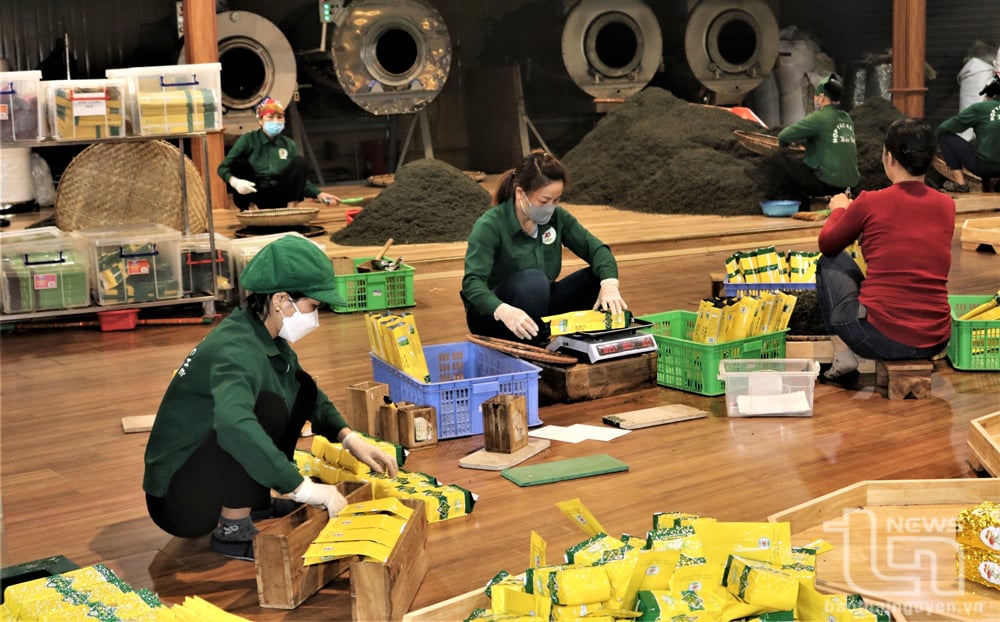 The value of tea products in Thai Nguyen province currently reaches 13.8 trillion VND/year.