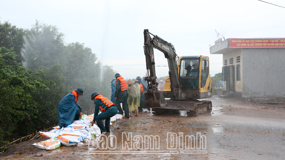Lực lượng xung kích xã Nam Thắng (Nam Trực) diễn tập xử lý chống tràn mái đê.