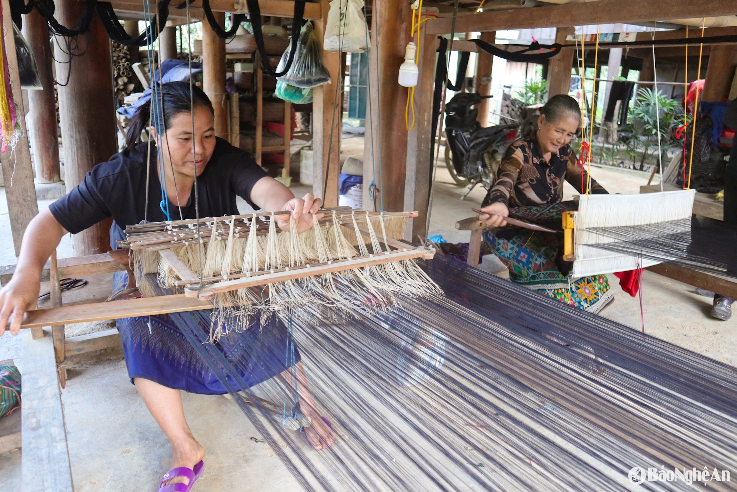 thế hệ