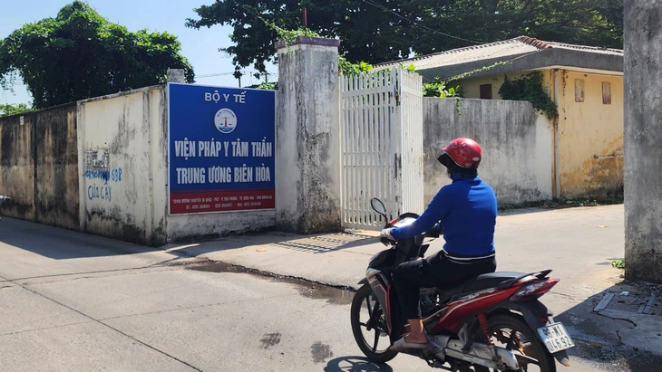 tâm thần - Ảnh 1.