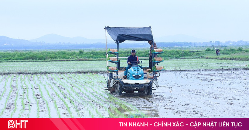 ចុងរដូវ ផលិតកម្មរដូវក្តៅ-រដូវស្លឹកឈើជ្រុះ មានហានិភ័យដែលអាចកើតមាន