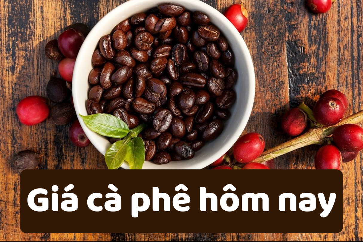 Giá cà phê hôm nay 17 6 2025