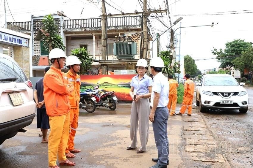 pc-dak-nong-exploration-of-electric-grid-to-implement-replacement-of-cong-to-1(1).jpg