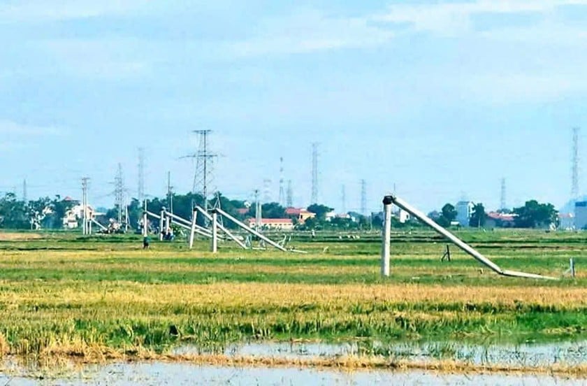 Sau mưa giông hàng loạt cột điện gãy đổ ngay vị trí khớp nối (Ảnh: ĐT).