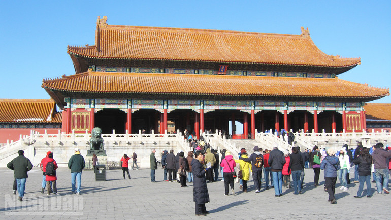 ndo_bl_a05-img-6002.jpg
