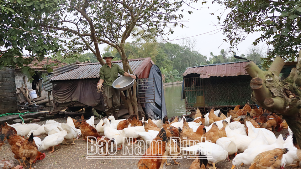 เกษตรกรในตำบลนามเกือง (นามทรูก) พัฒนารูปแบบเศรษฐกิจการเกษตร