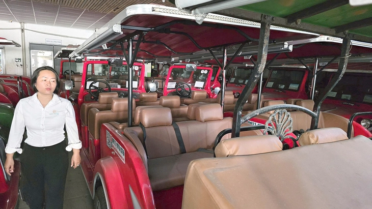 Xe điện du lịch 'nằm kho', doanh nghiệp gặp khó - Ảnh 1.
