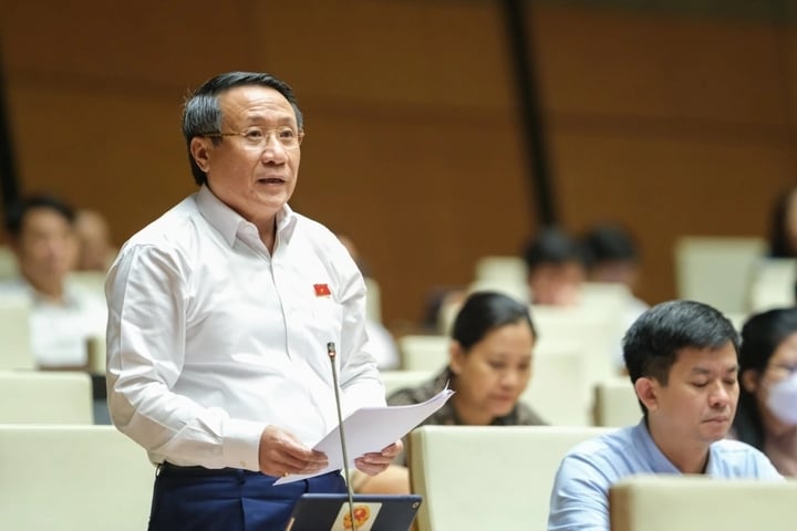 Đại biểu Hà Sỹ Đồng (đoàn Quảng Trị) nêu ý kiến tại phiên họp.