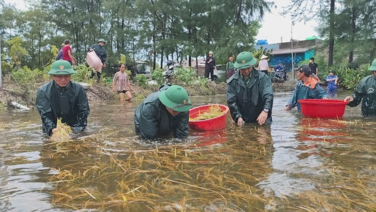 Quảng Trị triển khai các biện pháp khẩn cấp khắc phục thiệt hại do bão số 1 và mưa lũ gây ra- Ảnh 1.