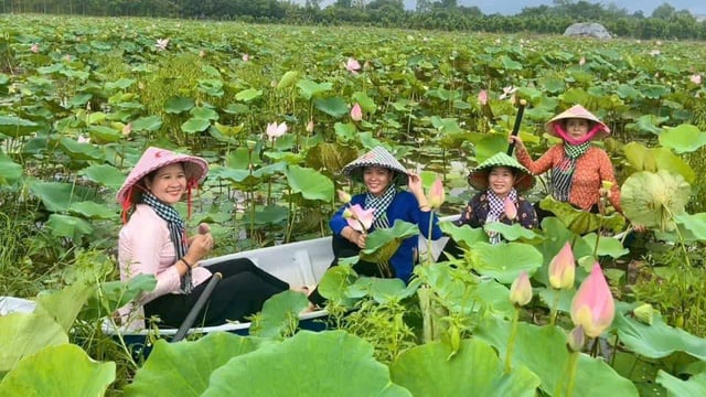 Đồng Tháp thu hút du khách bởi nét đẹp mộc mạc, tự nhiên- Ảnh 3.