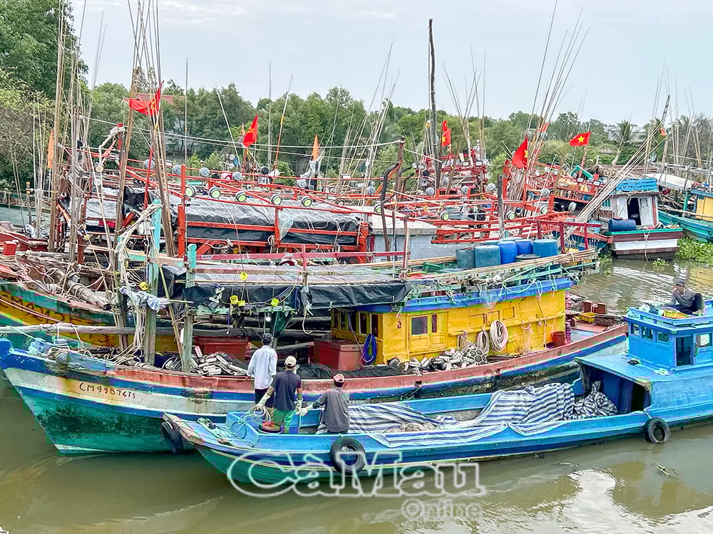 ការកេងប្រវ័ញ្ចតាមសមុទ្រជារៀងរាល់ឆ្នាំនាំមកនូវផលិតផលជលផលផ្សេងៗប្រមាណ 230 ពាន់តោន ដែលរួមចំណែកយ៉ាងសំខាន់ដល់ការអភិវឌ្ឍន៍សេដ្ឋកិច្ចសង្គមរបស់ខេត្ត។