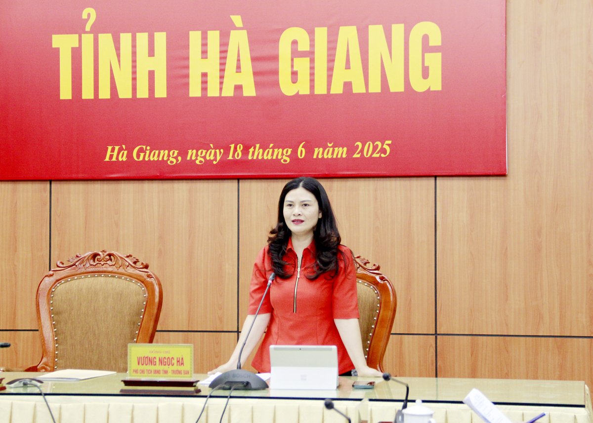 Đồng chí Vương Ngọc Hà, Ủy viên BTV Tỉnh ủy, Phó Chủ tịch UBND tỉnh, Trưởng Ban chỉ đạo phát biểu kết luận cuộc họp.