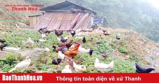 ជនជាតិម៉ុងបង្កើតផលិតផល OCOP