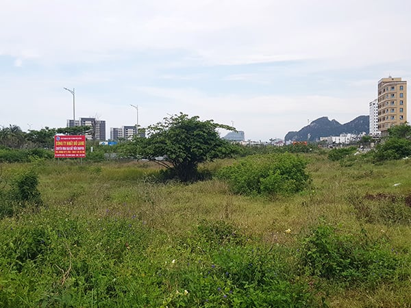 Sức cầu đất nền tại thị trường Đà Nẵng và vùng phụ cận tháng 5/2025 vẫn duy trì ở  mức thấp.