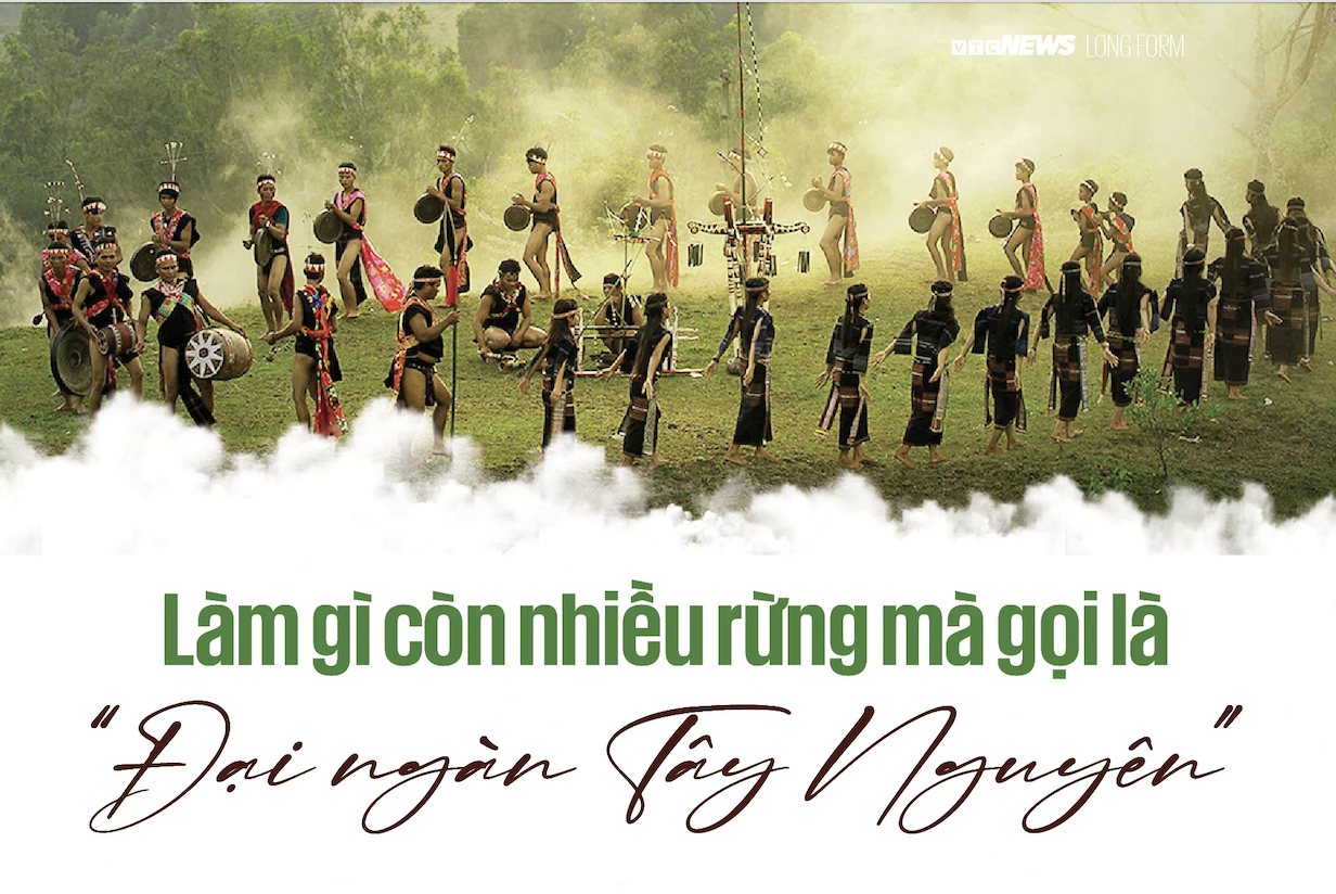 Làm gì còn nhiều rừng mà gọi là 'Đại ngàn Tây Nguyên'