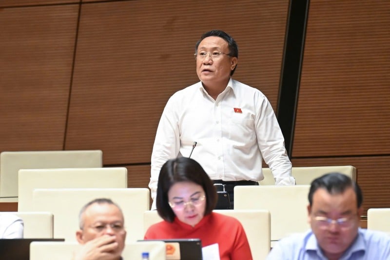 Đại biểu Hà Sỹ Đồng cảnh báo 