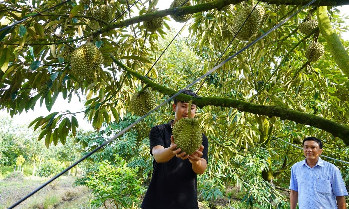 តើ​អាជីវកម្ម​ប្រកាស​ពន្ធ​ដោយ​របៀប​ណា​ពេល​ទិញ​កសិផល និង​ទំនិញ​ដឹក​ដៃ?