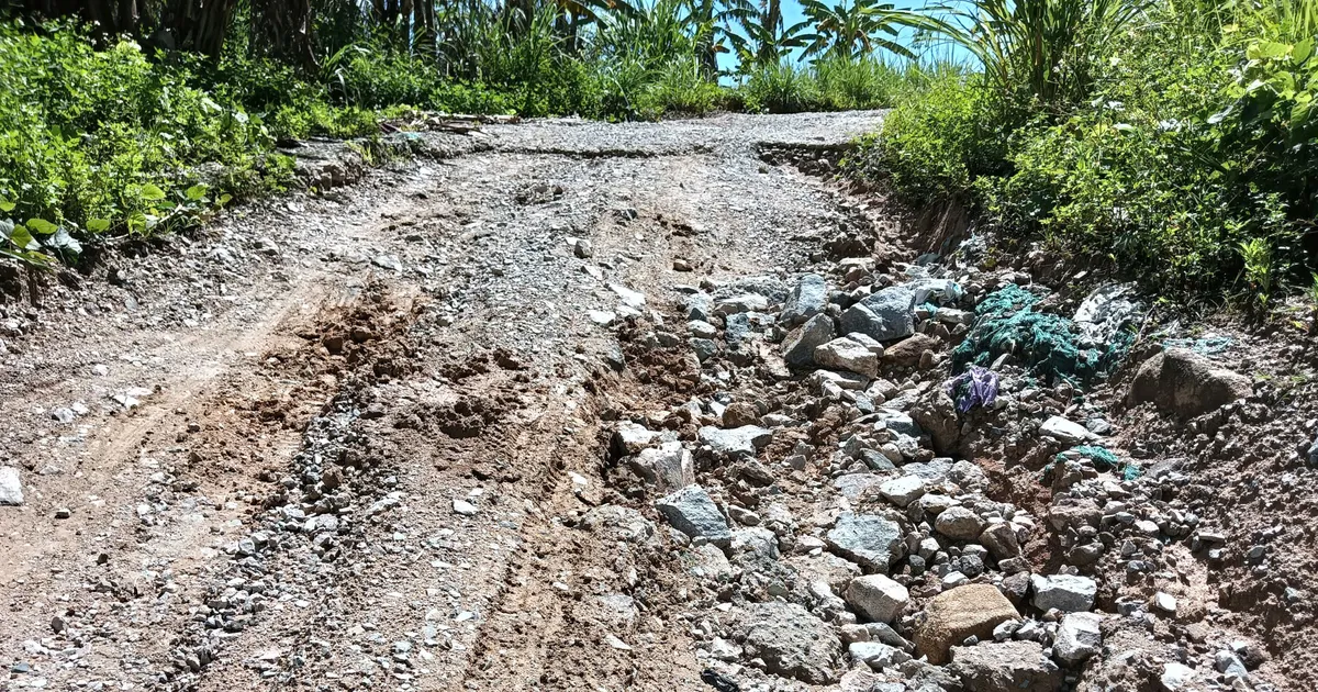 Kon Tum proposes to soon repair the Dak Drinh hydropower flood avoidance road