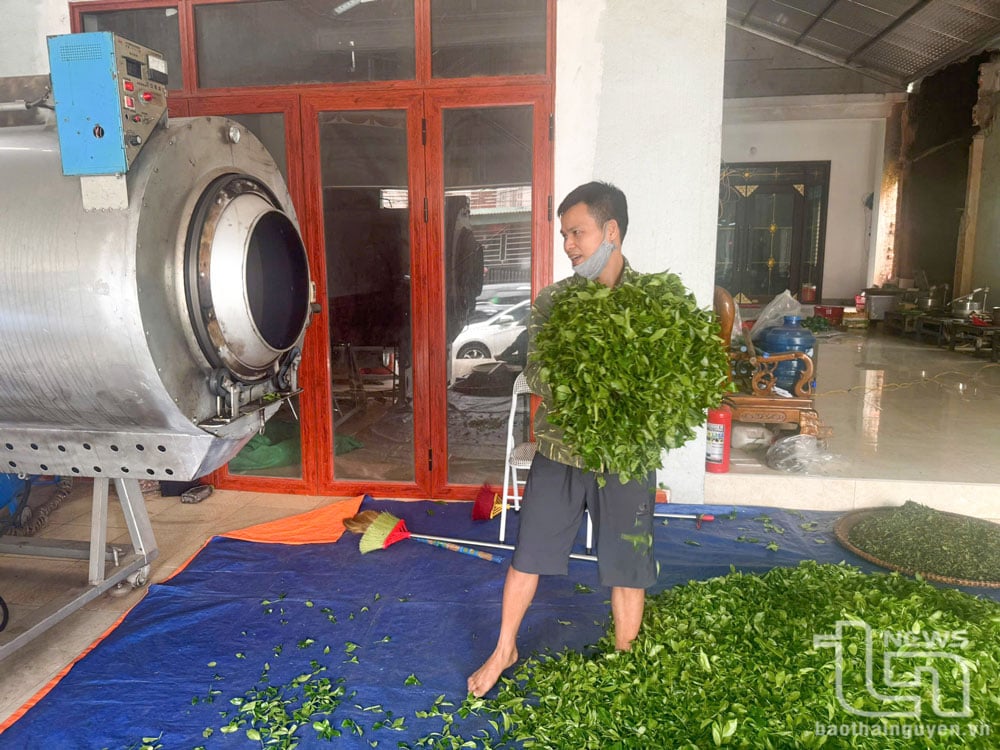 Hiện nay, người làm chè Thái Nguyên đã sử dụng các thiết bị chế biến mới, bán công nghiệp như tôn quay Inox, máy sao bằng gas, máy sao chè bằng điện tự động vào phục vụ chế biến, góp phần nâng cao hiệu quả sản xuất, chất lượng chè.