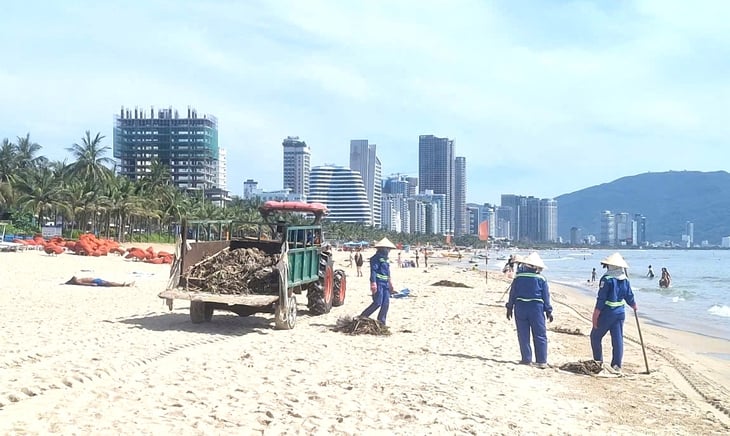 bãi biển - Ảnh 1.