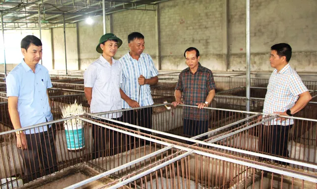 Loài vật đầy gai nhọn giúp người dân phát triển kinh tế, vươn lên thoát nghèo ảnh 6