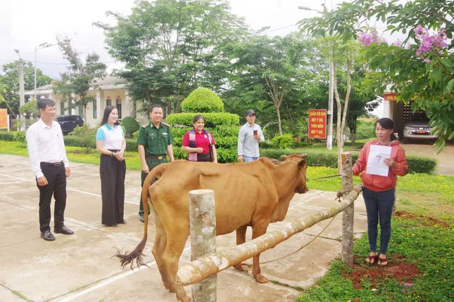 Đồng hành cùng phụ nữ biên cương, giúp 1.324 hộ dân Đắk Nông thoát nghèo ảnh 1