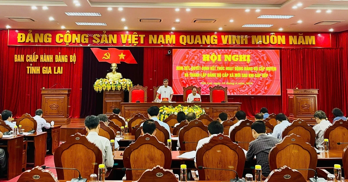 Gia Lai: Kết thúc hoạt động Đảng bộ cấp huyện và thành lập Đảng bộ cấp xã mới
