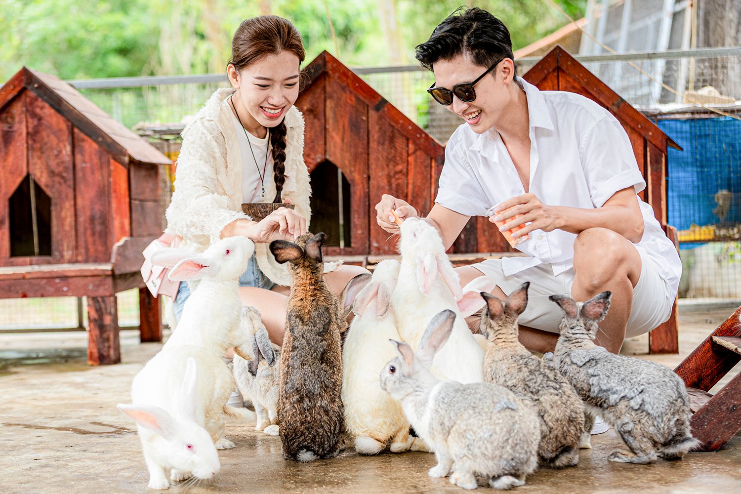Visitors have friendly contact with animals.