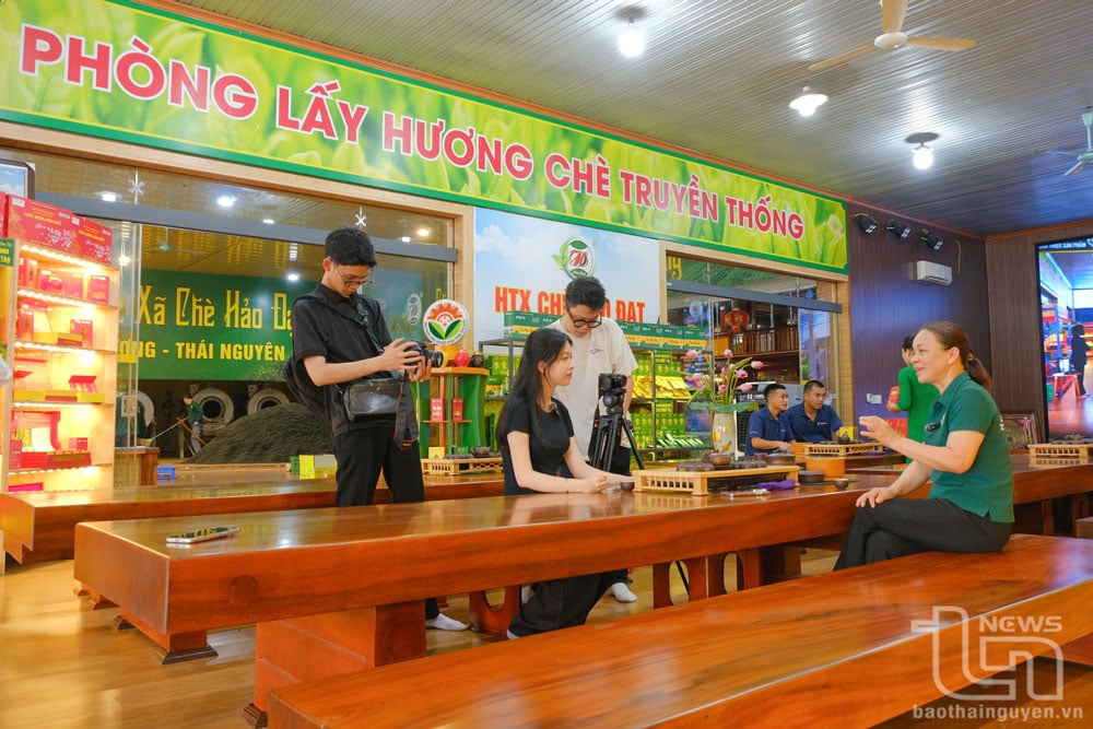 Sinh viên Học viên Báo chí và Tuyên truyền tác nghiệp tại Hợp tác xã Chè Hảo Đạt.