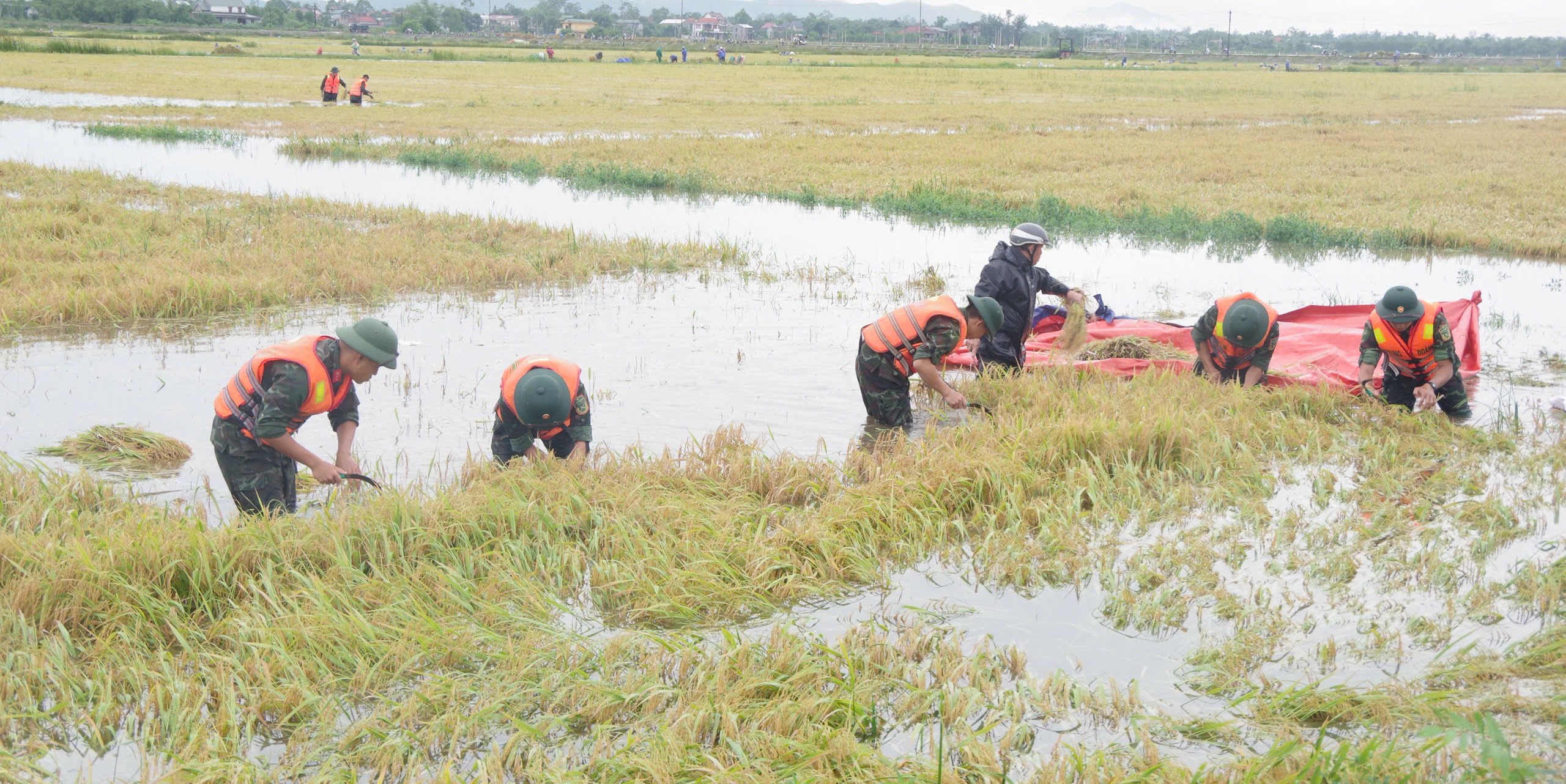 ផ្តោតលើភាពជាអ្នកដឹកនាំ ដើម្បីបង្កើនគុណភាពបណ្តុះបណ្តាល ត្រៀមខ្លួនជាស្រេចក្នុងការប្រមូលផ្តុំដើម្បីជួយមនុស្ស