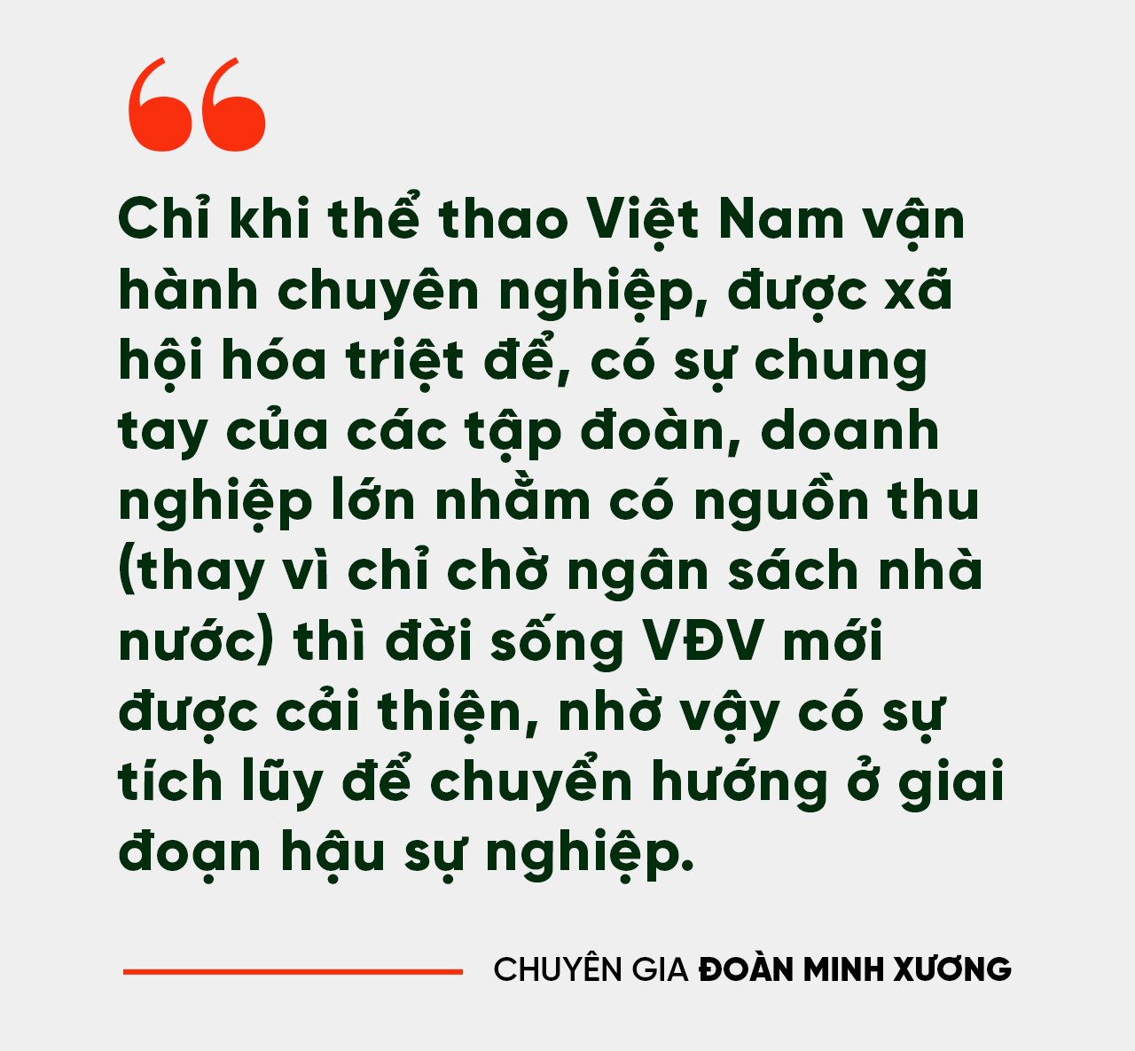 - Ảnh 8.