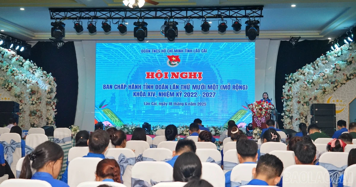 Provincial Youth Union organizes the 11th Executive Committee Conference (expanded), term 2022 - 2027