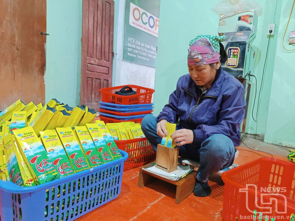 ការវេចខ្ចប់ផលិតផលនៅសហករណ៍ Nguyen Viet Tea ឃុំ Minh Lap។